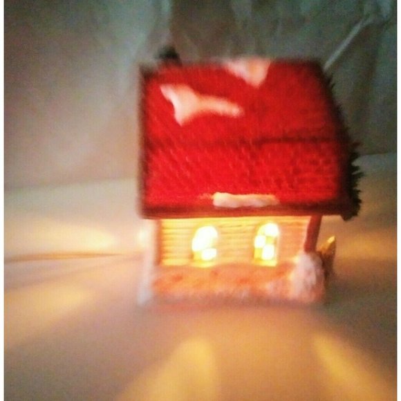 The Dutch House From Seasonal Specialties Company lighted house - Picture 9 of 11